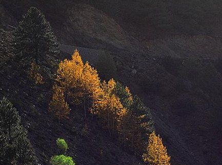 秋分象征着什么,秋分节气到来了图4