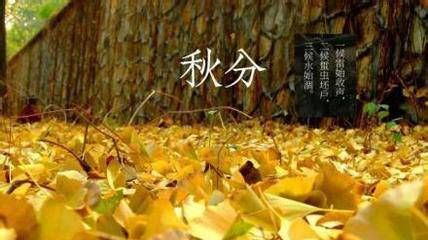 秋分象征着什么:秋分意味着什么