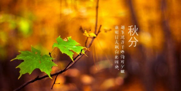 秋分象征着什么,秋分节气到来了图3