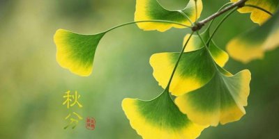 ​秋分象征着什么,秋分节气到来了