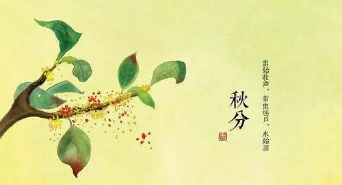 秋分象征着什么,秋分节气到来了图2