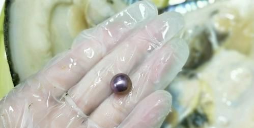 开出珍珠的珍珠蚌会怎么处理