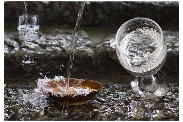 老窖淡雅42度原浆8多少钱