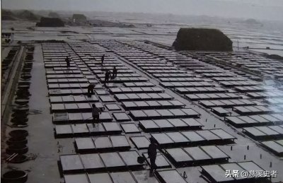 ​慈溪庵东镇——浙江盐都、小上海、体育强镇