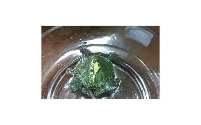 喜欢的女孩子对我不冷不热，小心沦为备胎