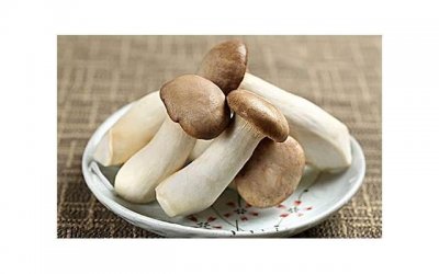 ​长期食用五子衍宗丸会有何种功效？