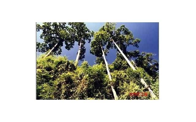 安逸自在的金牛座 安逸自在的金牛座