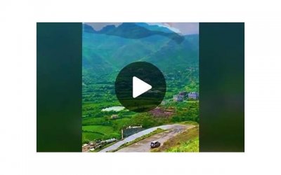 ​生活中常见的“它”有剧du，很多家庭喜欢用，了解后告诉身边人！