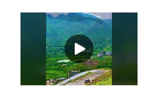 生活中常见的“它”有剧du,很多家庭喜欢用,了解后告诉身边人! 生活中常见的“它”有剧du,很多家庭喜欢用,了解后告诉身边人!