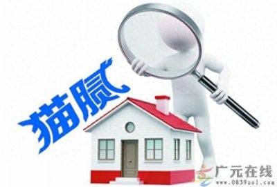 ​猫腻什么意思，猫腻有哪几种意思