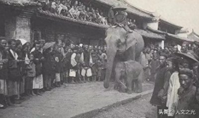 ​果敢土司为什么放弃回归中国？