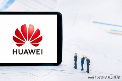 ​华为1大四个小摄像头手机是什么型号的