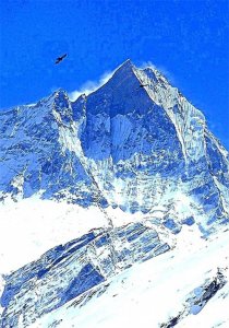 ​今天老北京让我了解了什么是熬鹰