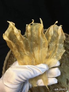 ​花胶和燕窝哪个好？花胶和燕窝有什么区别？