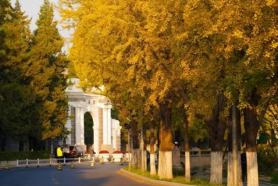 ​考清美去哪里的画室集训好？深度剖析为你解惑！