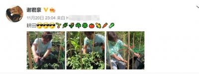 ​57岁谢君豪近照，胡子拉碴衣着朴素，回归田园醉心种菜已5年