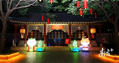 ​多图｜在顺峰山公园“漫游喵境”是种什么体验？