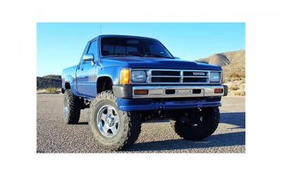 ​87年属啥-1987年属兔命中三劫