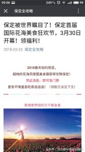 ​被热传的“保定花海美食节”是这样的？！探访：已受罚并被叫停