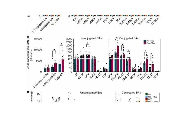 属鼠金牛座男性的爱情、职业和A型血特征分析