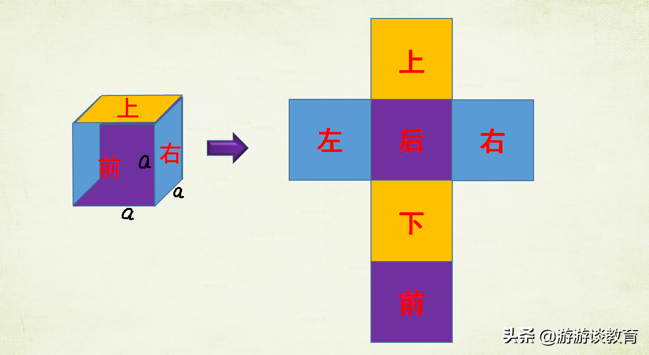 表面积是什么意思（数学表面积的概念讲解）