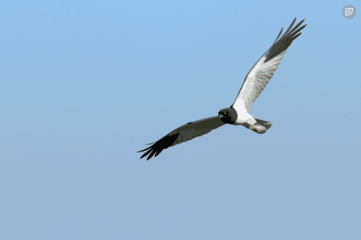 ​宝妈在家可以学点什么技术，学什么技术适合宝妈的？