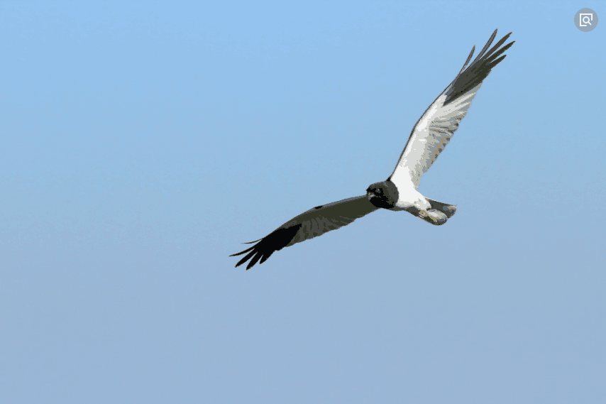 宝妈在家可以学点什么技术：宝妈在家里一般学什么技术好