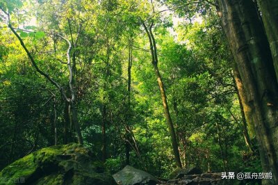 ​南阳独山 独特的山