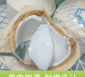 ​新鲜的椰子肉能生吃吗，老椰子里面的椰子肉可以直接吃吗？