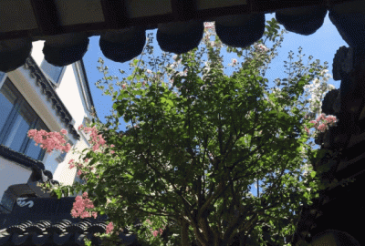 ​声振林木响遏行云意思,抚节悲歌声振林木响遏行云的意思 怎么解释抚节悲歌声振