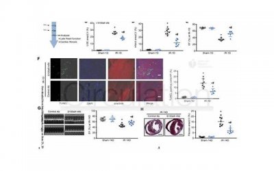​离婚夫妻财产要怎么分配