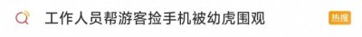 ​好笑又害怕！帮游客捡手机被一排老虎围观…