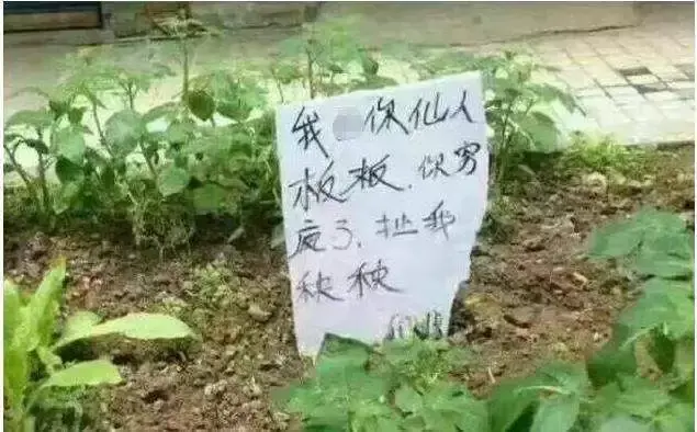 四川话歌曲有哪些(女生唱的歌里面有四川话) 第4张 四川话歌曲有哪些(女生唱的歌里面有四川话) 第4张