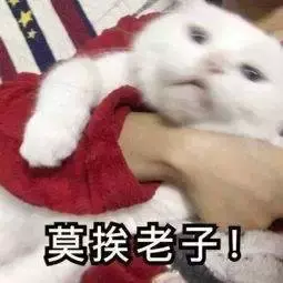 四川话歌曲有哪些(女生唱的歌里面有四川话) 第22张 四川话歌曲有哪些(女生唱的歌里面有四川话) 第22张