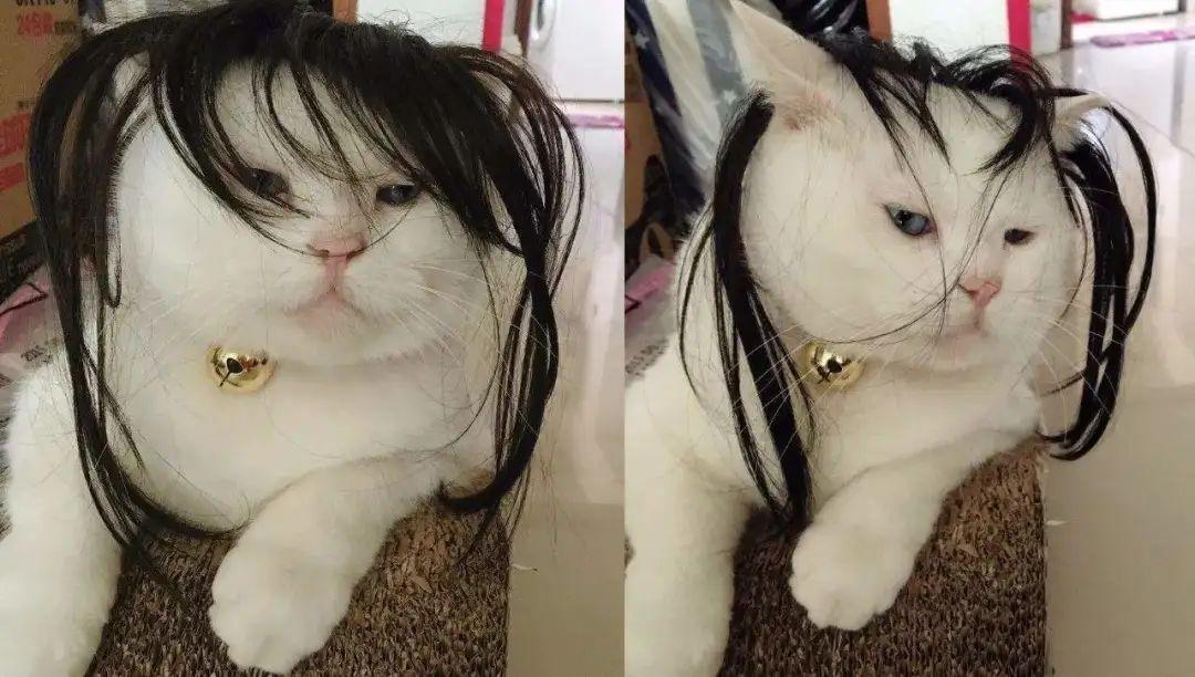 啊啊啊是什么歌曲(印度开头啊啊啊啊啊的歌曲) 歌曲 印度 第35张