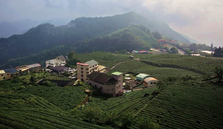 我就是这么牛是什么歌曲(歌曲我就是这么牛) 歌曲 第4张