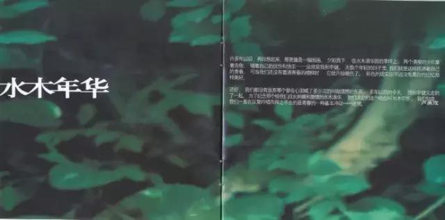 因为一句歌词而好听的十首歌（那些歌曲里的哪些歌词打动了你）(12)