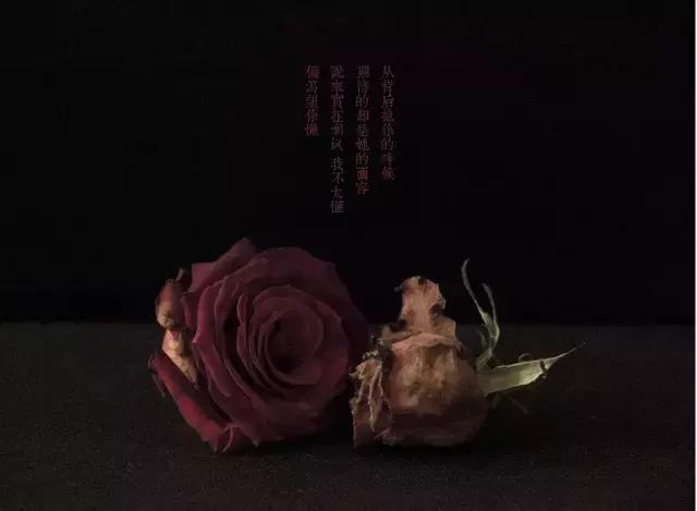 因为一句歌词而好听的十首歌（那些歌曲里的哪些歌词打动了你）(42)