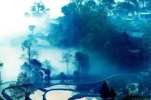 因为一句歌词而好听的十首歌（那些歌曲里的哪些歌词打动了你）(32)