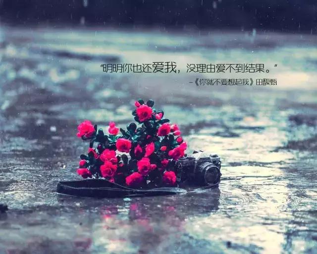 因为一句歌词而好听的十首歌（那些歌曲里的哪些歌词打动了你）(25)