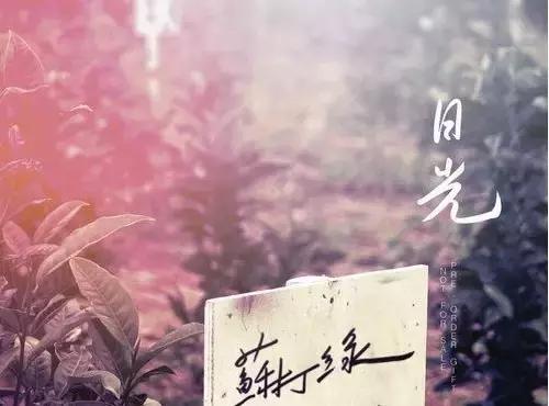 因为一句歌词而好听的十首歌（那些歌曲里的哪些歌词打动了你）(33)