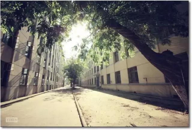 因为一句歌词而好听的十首歌（那些歌曲里的哪些歌词打动了你）(15)