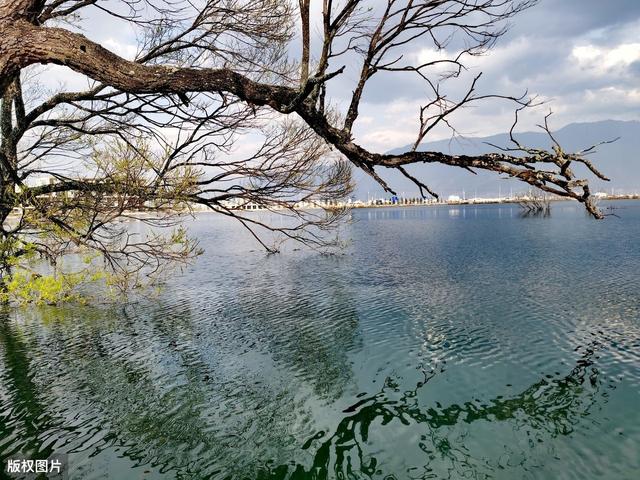 适合做背景音乐的快节奏的歌曲（适合做背景音乐的51首歌曲）(1)