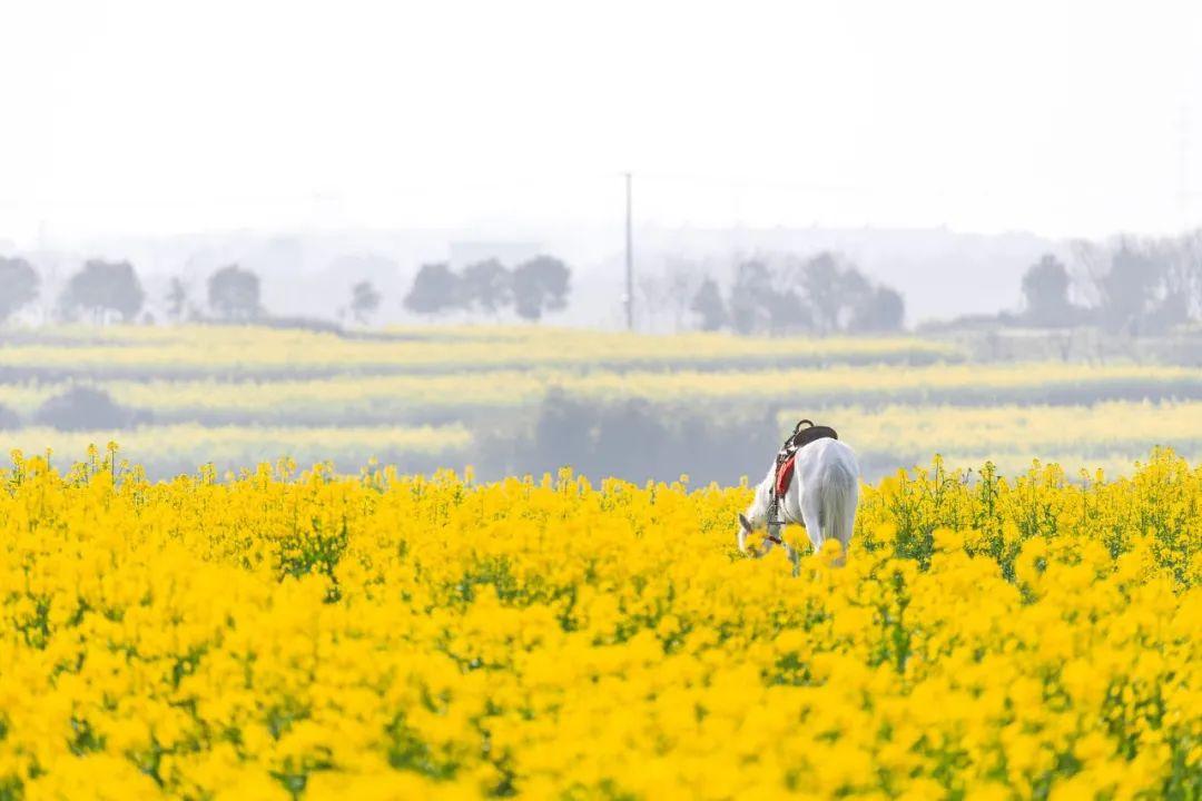 少年歌曲有哪些(带有少年的歌曲有哪些)  第11张