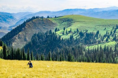 ​少年歌曲有哪些(带有少年的歌曲有哪些)