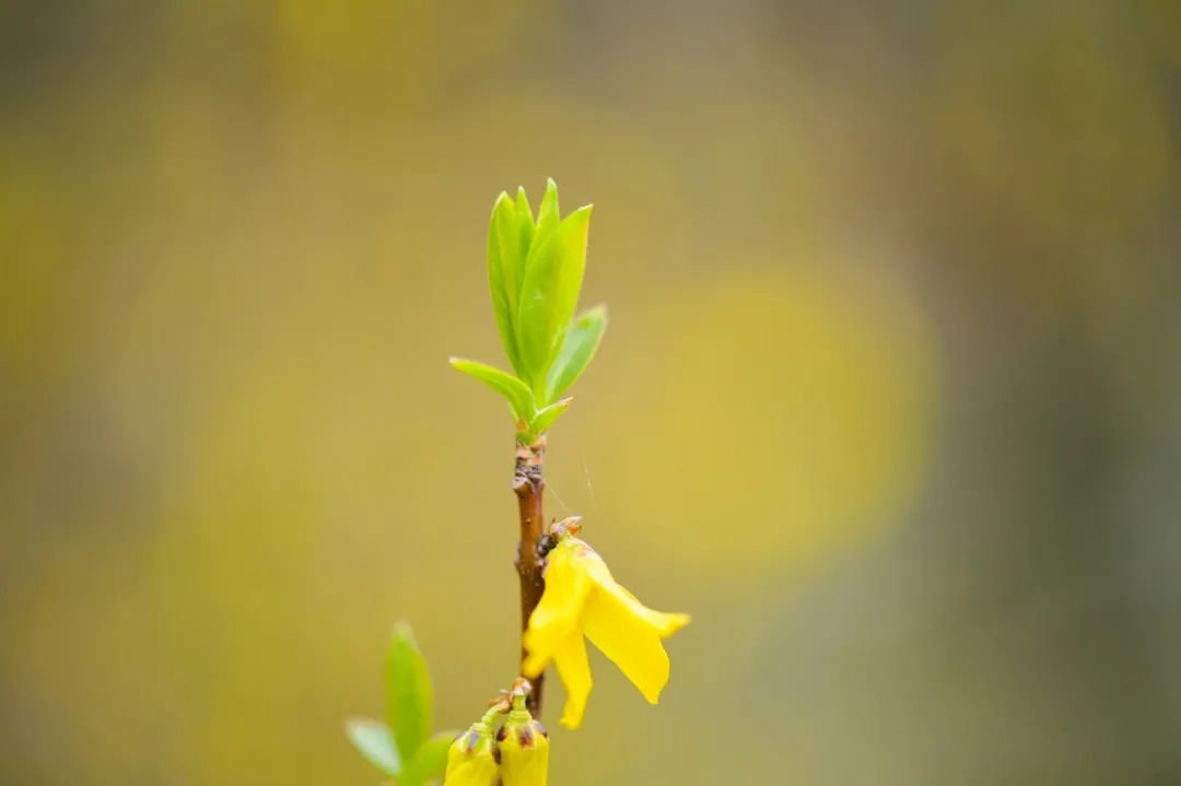 少年歌曲有哪些(带有少年的歌曲有哪些)  第2张