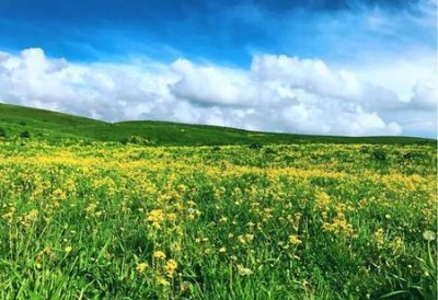 ​想给你一次旅行,到今天都没实现(关于旅行的民谣歌曲)