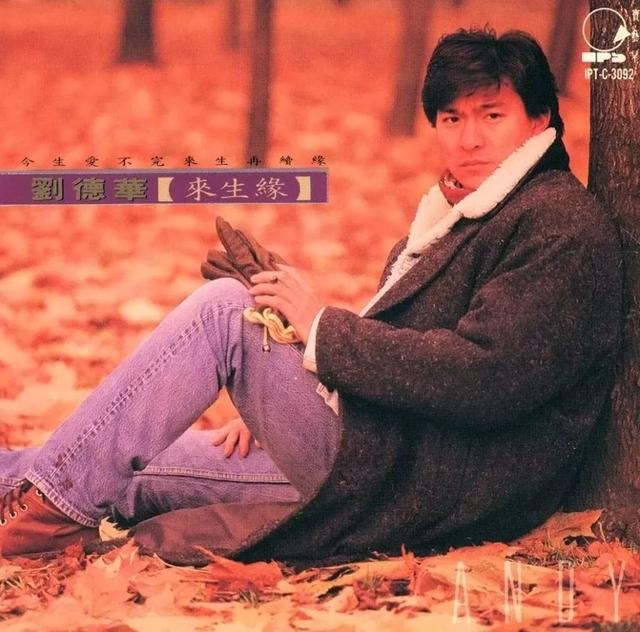 刘德华金曲获奖作品（香港金像奖最佳原创电影歌曲）(6)