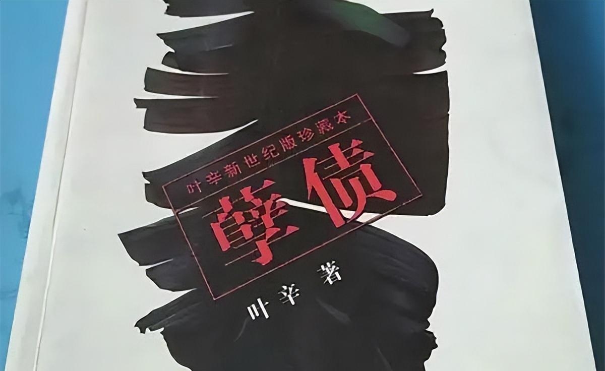 上海那么大有没有我的家什么歌曲(上海那么大有没有我的家是什么歌)  第4张