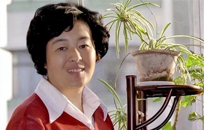 ​上海那么大有没有我的家什么歌曲(上海那么大有没有我的家是什么歌)